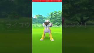 【ポケモンGO】ライコウ【ゲットチャレンジ】