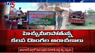 కలప అక్రమ రవాణాకు అడ్డుకట్ట ఎప్పుడు..!: TV5 Special Report On Wood Smuggling @AdilabadForest | TV5