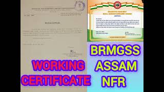 Brmgss nfr assam working certified 02/01/2025