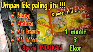 Umpan lele paling jitu dan neter saat ini spesial indukan bahan dasar mie instan