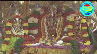 కల్పవృక్ష వాహనం  | KALPAVRUKSHA VAHANAM | SRI KODANDARAMA SWAMY TEMPLE | TIRUPATI | BRAHMOTSAVAM2019