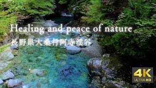 【4K ASMR Relaxing in nature】大自然でリラックス「無窮の水碧」阿寺渓谷、絶景の阿寺ブルー　Atera Valley, a spectacular view of Japan,