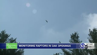 Metroparks Meetup: Oak Openings Raptor Monitoring Program