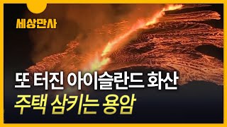 [세상만사]  또 터진 아이슬란드 화산 ··· 4천 명 대피…사상자 없어