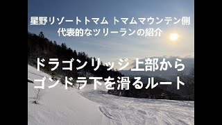 星野リゾートトマム　ツリーラン紹介その２