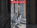 💔Наслідки жахливих ударів по Харкову shorts