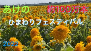 【茨城県筑西市】明野ひまわりフェスティバル/約100万本の八重ひまわり2022