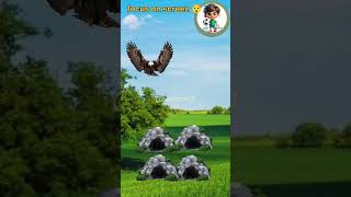 Genius test ravan aur jatayu #ravan #sita #jatayu  #focus #focustest #testyourfocus @MRINDIANHACKER