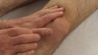 Knee Effusion Test Brush Test Stroke Test Milking Test