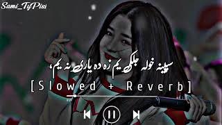 Speena Khula Jalkai Yam Za De Yari Na Yam Na Yam|PashtO New Tik Tok Viral Song 2022| {Slowed+Reverb}