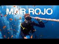 El Tesoro Oculto de Egipto | Mi Experiencia de Buceo en el Mar Rojo