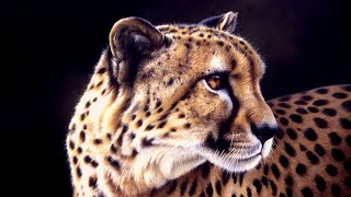 Acrylic painting of wildlife // Cheetah painting // Oddly satisying // Time lapse