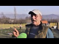 “Mogli” modern - Familja shqiptare që jeton mes ujqve - Top Channel Albania - News - Lajme