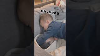 寝たいパパvs起こしたい子ども#shorts