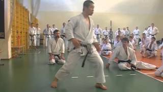 Mae Geri (push hips)