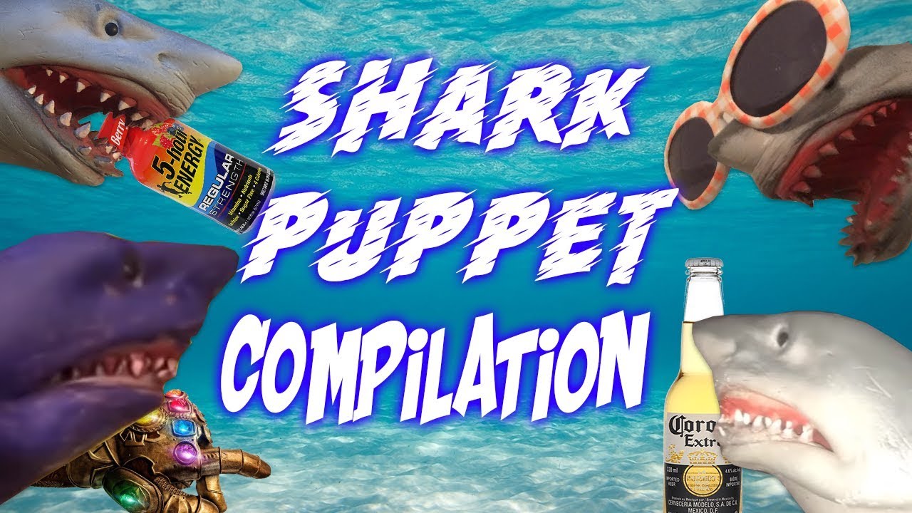 Shark Puppet Compilation 2 Youtube