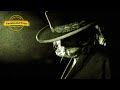 OVERDOSE (D'AMORE) - Zucchero