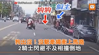 狗出沒！沒繫牽繩衝上馬路 2騎士閃避不及相撞倒地｜社會