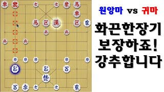 [타이슨장기 3000] 시원하고 화끈한장기!! 강추합니다.