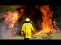 Kangaroo Island devastated by fires, 150,000 hectares burnt