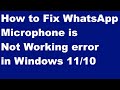 WhatsApp Microphone Not Working on Windows 11 and 10 Fixed