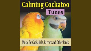 Cockatiel Music Merry Go Round