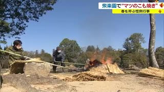 春の訪れ告げる「松のこも焼き」　冬ごもりしていた害虫を駆除　衆楽園【岡山・津山市】　 (23/03/06 18:00)