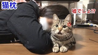 あまりにも可愛すぎてお昼寝中妹の枕にされてしまった猫ｗ