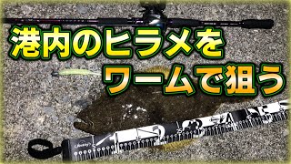 【北海道釣り2023】函館：いつもの漁港でヒラメを狙ってみた！