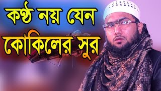 কণ্ঠ নয় যেন কোকিলের সুর,New Bangla waz 2020 শুয়াইব আহমদ আশ্রাফী,Nabir Media