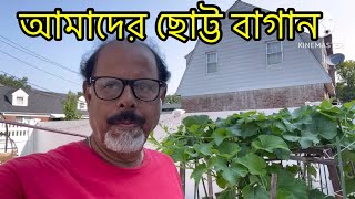 দেখুন আমেরিকার Lynbrook এ ছোট বাগানটি ফুলে ফলে ভরে উঠেছে!!