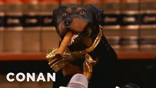 Triumph The Insult Comic Dog Is Suing Carnival Cruise Lines | CONAN on TBS