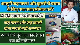 जड़ गलन और जड़ काली होना आलू में! कैसे पहचाने?रोकने के लिए क्या-क्या करें इस्तेमाल! जरूरी सूचना!