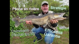 Comment Pêcher de façon efficace au Vif