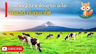 สารคดีสัตว์โลก ดินแดนญี่ปุ่น ชาโตะยามะ อะโซะ วิถีชีวิตกับภูเขาไฟ | สารคดีสัตว์ สารคดี ใหม่ล่าสุด