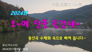 오~메  단풍 들것네~  2024년~ -구트 조행기 134화  - 장대낚시, 잉어낚시, 향어낚시, Carp fishing, long rod fishing, 찌올림, 동신곡낚시터