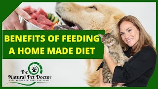 Benefits of a Home Made Diet for Your Dogs and Cats with Dr. Katie Woodley - The Natural Pet Doctor