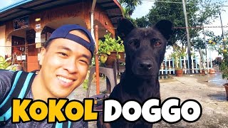 ANJING DI BUKIT KOKOL MENGGIGIT? || HIKING FROM KIONSOM TO KOKOL (VLOG)