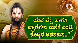 ಯಾವ ಪಕ್ಷಿ ಪ್ರಾಣಿ ಮನೆಗೆ ಎಂಟ್ರಿ ಕೊಟ್ಟರೆ ಅಪಶಕುನ|Which Animals Bird Entry To House Will Create Bad Luck|