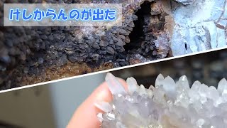 クリーニングしたら紫水晶だった大逆転ガマを開けた件