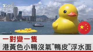 一對變一隻 港黃色小鴨沒氣「鴨皮」浮水面｜TVBS新聞