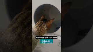 고양이 자동 화장실 사용해 보니 정말 좋네요 #shorts #고양리자동화장실 #비싸지만만족 #catvideo