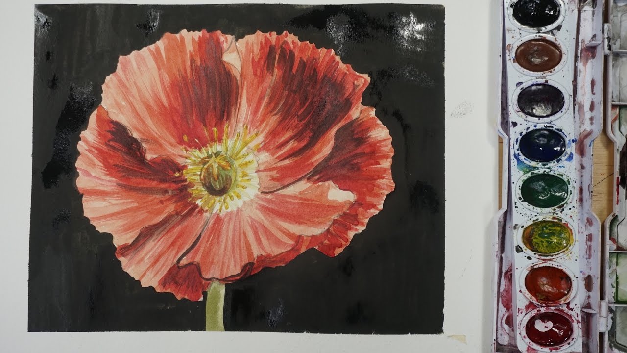 Poppy Watercolor Tutorial
