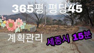 매물번호445         공주시 계룡면 내흥리 365평 평당45  계획관리   바로건축가능