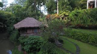 Welcome to Villa Mawar