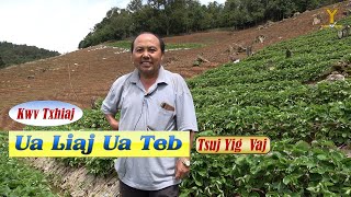 (Kwv Txhiaj) Ua Liaj Ua Teb by Tsuj Yig  Vaj