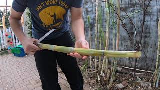 Sugarcane #3: how to peel or cut open