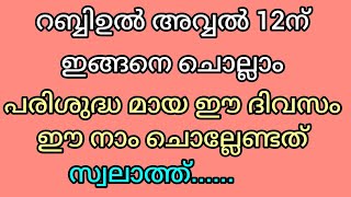 റബ്ബിഉൽ അവ്വൽ പരിശുദ്ധമായ ഈ ദിനത്തിൽ #minivlog#shortsvideo #islamicmusic #duet ##Ayshoossolution