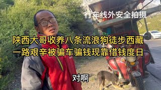 陕西大哥收养八条流浪狗徒步西藏，一路艰辛被骗车骗钱现借钱度日【沫沫自驾游】