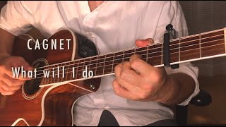 【ロンバケsoundtrack】CAGNET - What will I do（Guitar cover）